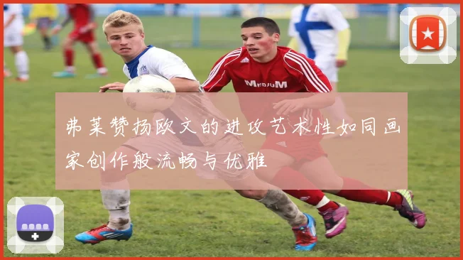弗莱赞扬欧文的进攻艺术性如同画家创作般流畅与优雅
