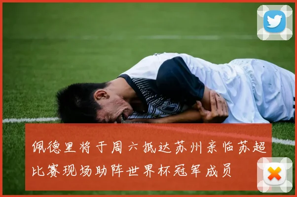 佩德里将于周六抵达苏州亲临苏超比赛现场助阵世界杯冠军成员